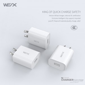 WEX - Carregador de viagem V8, carregador de parede, adaptador de energia